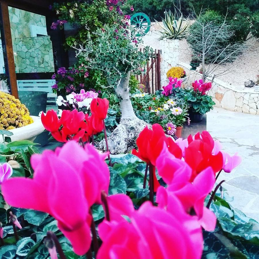 B&B Da Pia Uta Exterior foto
